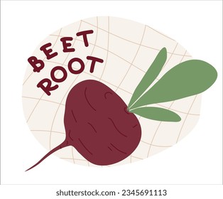 Beet vector illustration and text “beetroot” on a neutral background. Fresh vegetable in flat cartoon style. Local nutritious raw products. Label design for sticker, packaging or advertising.