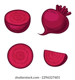 Beet vector illustration. Whole beetroot, half beetroot and a slice.