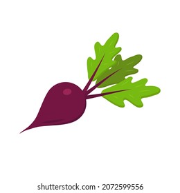 beet vector sign, isolated object. Burgundy beet logo in flat style. Organic Food.Healthy Vegetable.Autumn Harvest