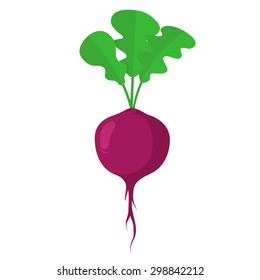 Beet vegetable. Colorful design element isolated on white. 