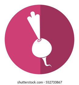beet vegetable diet nutrition shadow
