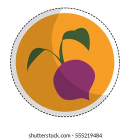 beet vegetable emblem icon image vector illustration design 