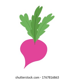 beet vegetable fresh nutrition food isolated icon design vector illustration