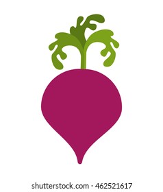 beet vegetable health icon vector illustration design