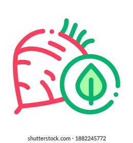 Beet Vegetable Icon Vector. Outline Beet Vegetable Sign. Isolated Contour Symbol Illustration