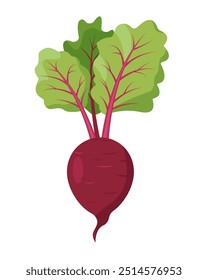 Ícone de vegetal de beterraba. Beterraba inteira com folhas de topo. Planta de raiz de beterraba agrícola. Comida vegetariana de jardim orgânico. Ilustração vetorial isolada sobre fundo branco.