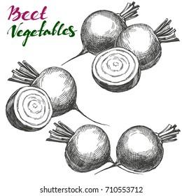 Beet vegetable set. Detailed engraved. Vintage hand drawn vector illustration realistic sketch