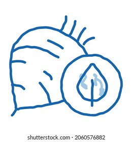 Beet Vegetable sketch icon vector. Hand drawn blue doodle line art Beet Vegetable sign. isolated symbol illustration