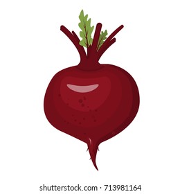 Beet. Vegetables isolated on a white background. Stock vector.