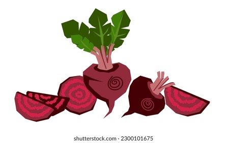 Beet whole root and cut slices composition in hand drawn style flat vector illustration isolated on white. Beet vegetables for food and juice packaging, prints on kitchen utensils and textile.