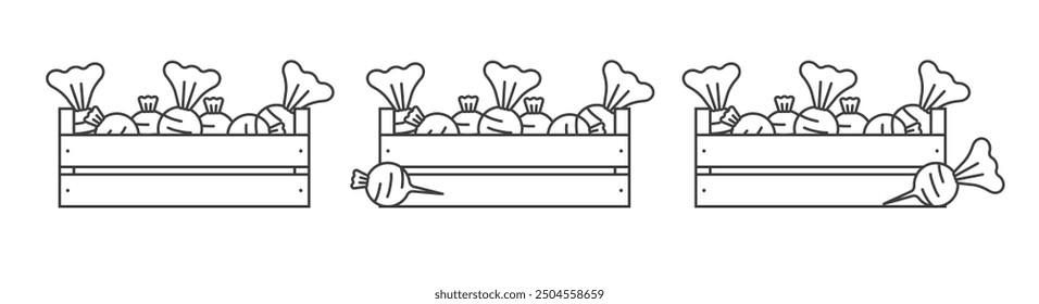 Beet in a wooden box icons outline. Vegetables in a wooden box line icon. Radish in a wooden box icon. symbol, logo illustration.