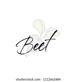 Beet word on background illustration. Fruit web element, Isolated Vector.