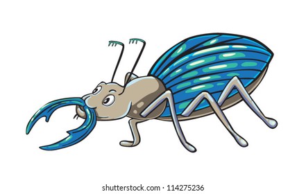 beetle