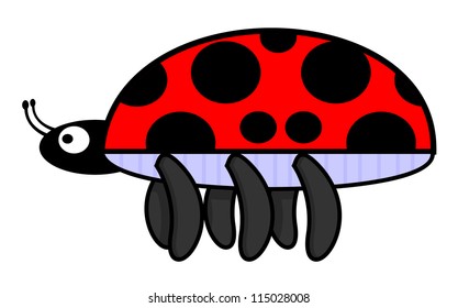 beetle