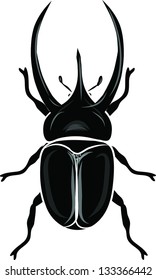 beetle