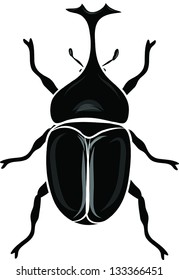 beetle