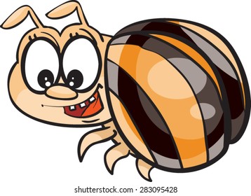 Beetle