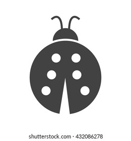 Beetle