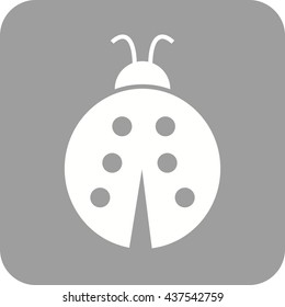Beetle