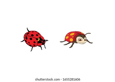 Beetle Animal Cartoon Vector Illustration