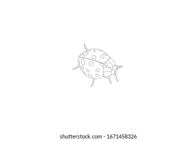 Beetle Animal Cartoon Vector Outline Illustration