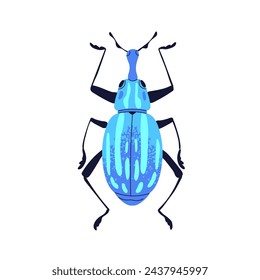 Beetle with antenna, proboscis. Fantastic bug with long nose. Insect, fantasy fauna species, animal top view. Flat graphic vector illustration isolated on white background