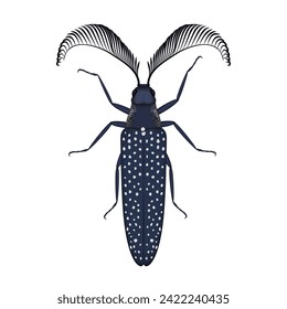 Beetle with antennae and texture on wings, top view of bug and insect pest vector illustration