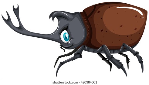 Escarabajo con ilustración de concha marrón