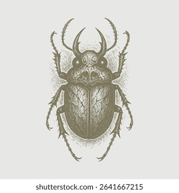 Beetle bug hand drawing white background