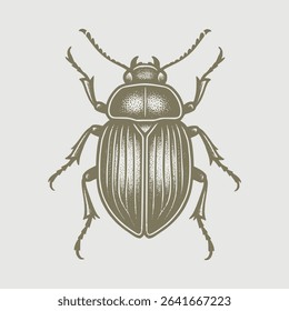 Beetle bug hand drawing white background