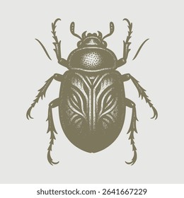 Beetle bug hand drawing white background