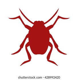 Beetle bug icon isolated on white background wildlife animal vector bug icon