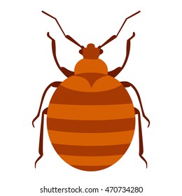 Beetle bug insect isolated on white background vector wildlife animal vector bug