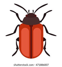 Beetle bug insect isolated on white background vector wildlife animal vector bug