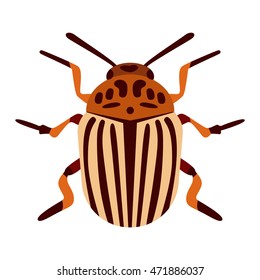 Beetle bug insect isolated on white background vector wildlife animal vector bug