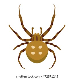 Beetle bug insect isolated on white background vector wildlife animal vector bug