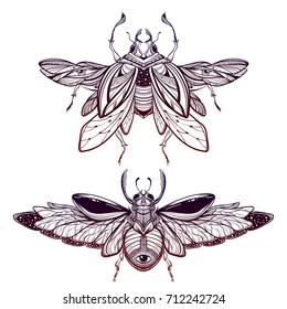 Beetle bug tattoo drawing. Scarab bug illustration