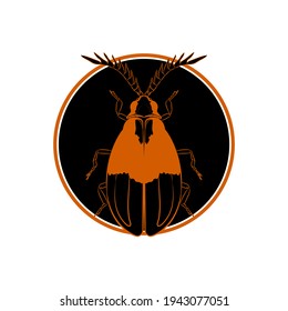 Beetle (Caenia dimidiata) on background with circles. Vector illustration.