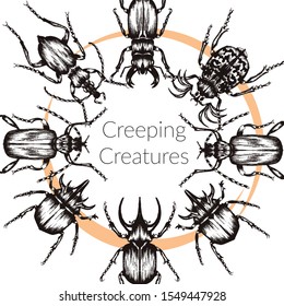 Beetle Card Template With Grunge Creeping Creatures Vector Illustration. Vintage Entomological Drawing