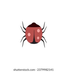 beetle Cartoon Animal Vector Illustrations