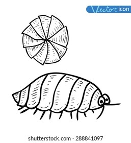 beetle cartoon bug, insect icon. vector illustration.