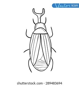 beetle cartoon, insect icon. vector illustration.