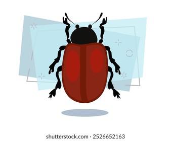 Beetle Chrysomela populi isolated vector. Bug, wildlife, entomology. Insects concept. Vector can be used for topics like nature, biology, fauna