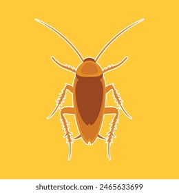 Beetle cockroach vector icon.Realistic vector icon isolated on white background beetle cockroach.
