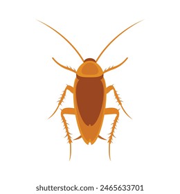 Beetle cockroach vector icon.Realistic vector icon isolated on white background beetle cockroach.