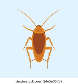 Beetle cockroach vector icon.Realistic vector icon isolated on white background beetle cockroach.