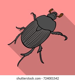 Beetle is a coleopterous insect.Arthropods insect, beetle single icon in flat style vector symbol stock isometric illustration web.