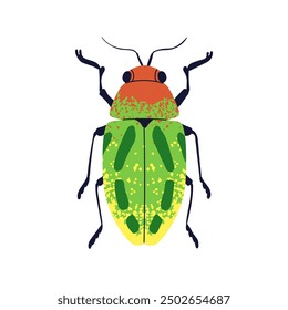 Beetle, colorful insect. Bright speckled pattern bug with antennae. Exotic tropical fauna, beautiful animal species, top view. Flat graphic vector illustration isolated on white background