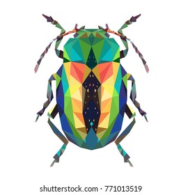 Beetle Colorful Polygonal Insect Bug