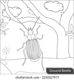 Beetle Coloring Page for kids